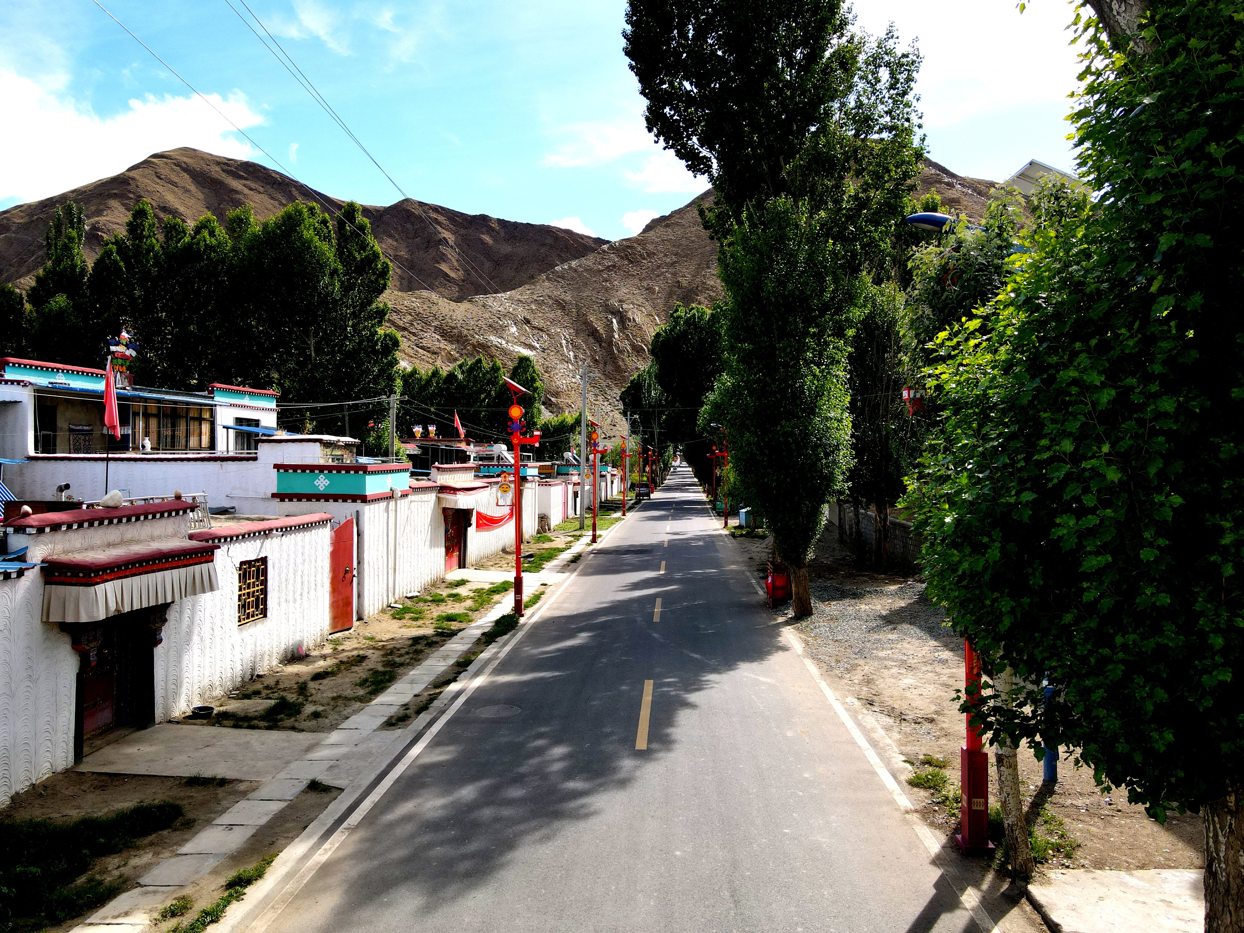 山南市:铺就乡村振兴幸福路