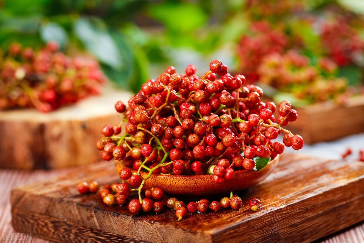 花椒和麻椒是一种东西吗?