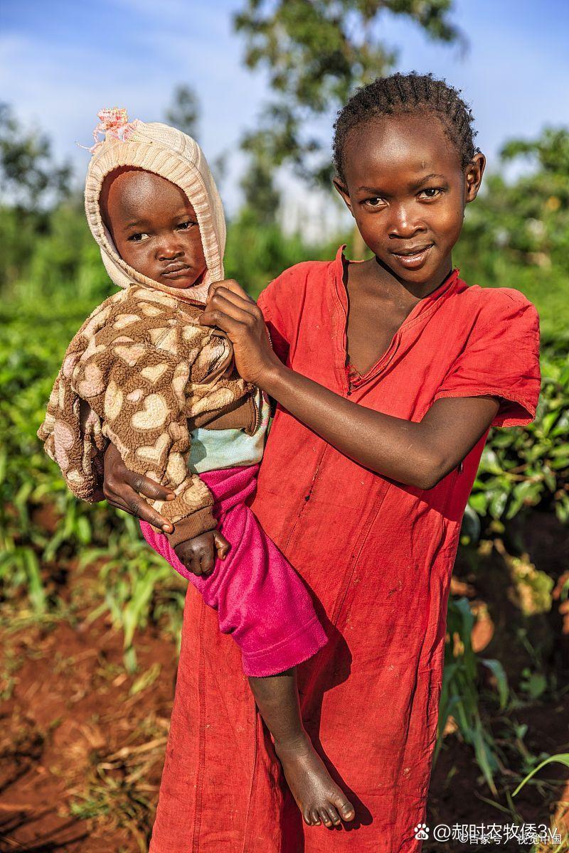 为什么中国人去非洲务工后,大多不愿意回国?