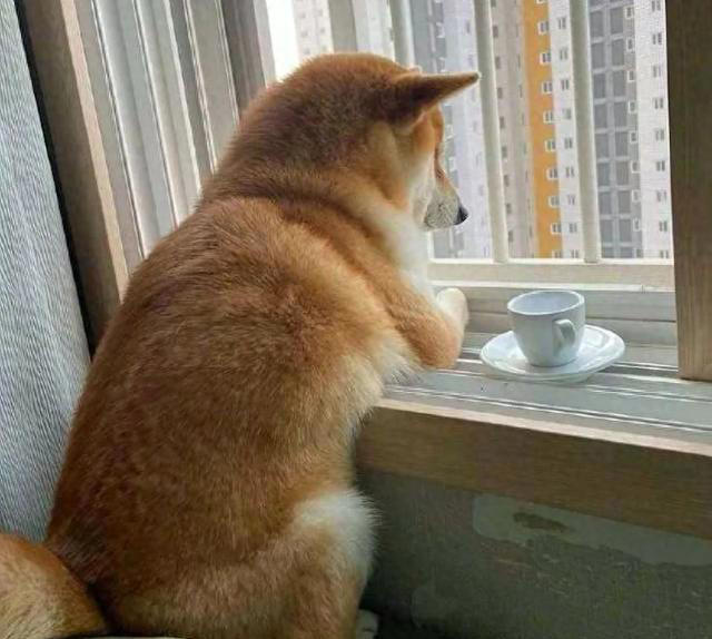 在温馨的家中,我们时常会发现一个温馨而又略带神秘