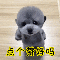 内容由ai生成举报/反馈rocky讨厌fake你遛狗不牵绳,你家狗会谢谢你16