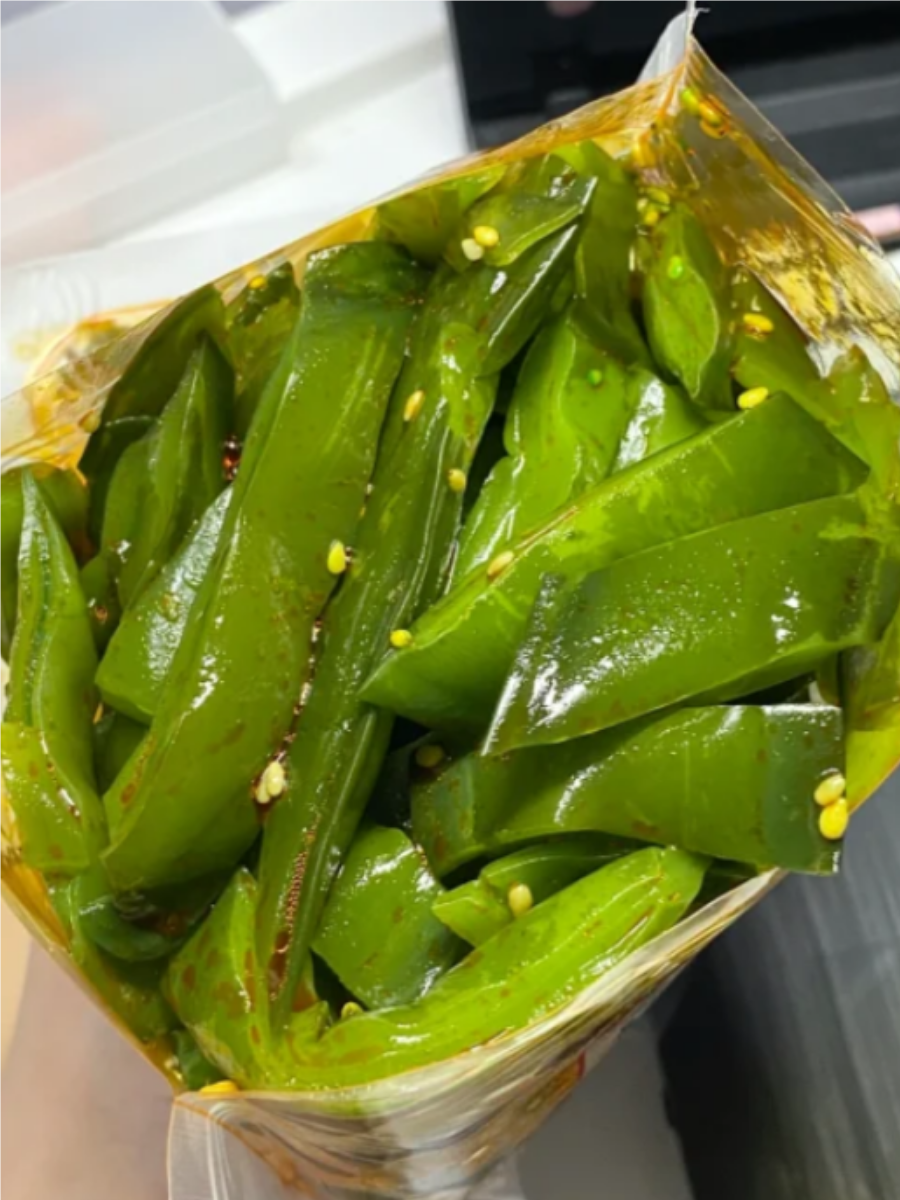 海白菜图片,快来了解一下吧