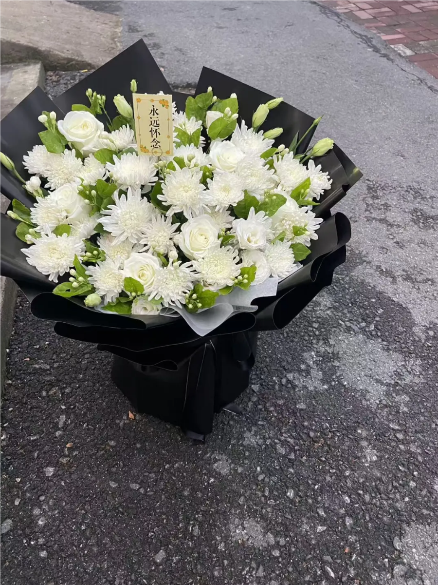 白菊花常被用来表达对逝者的哀思与怀念,它们纯净