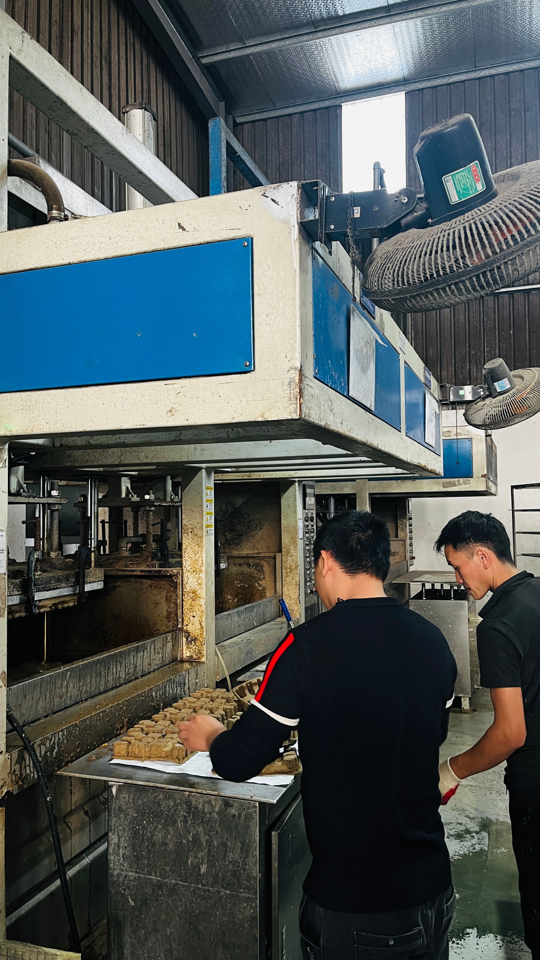 环保纸托包装未来发展趋势