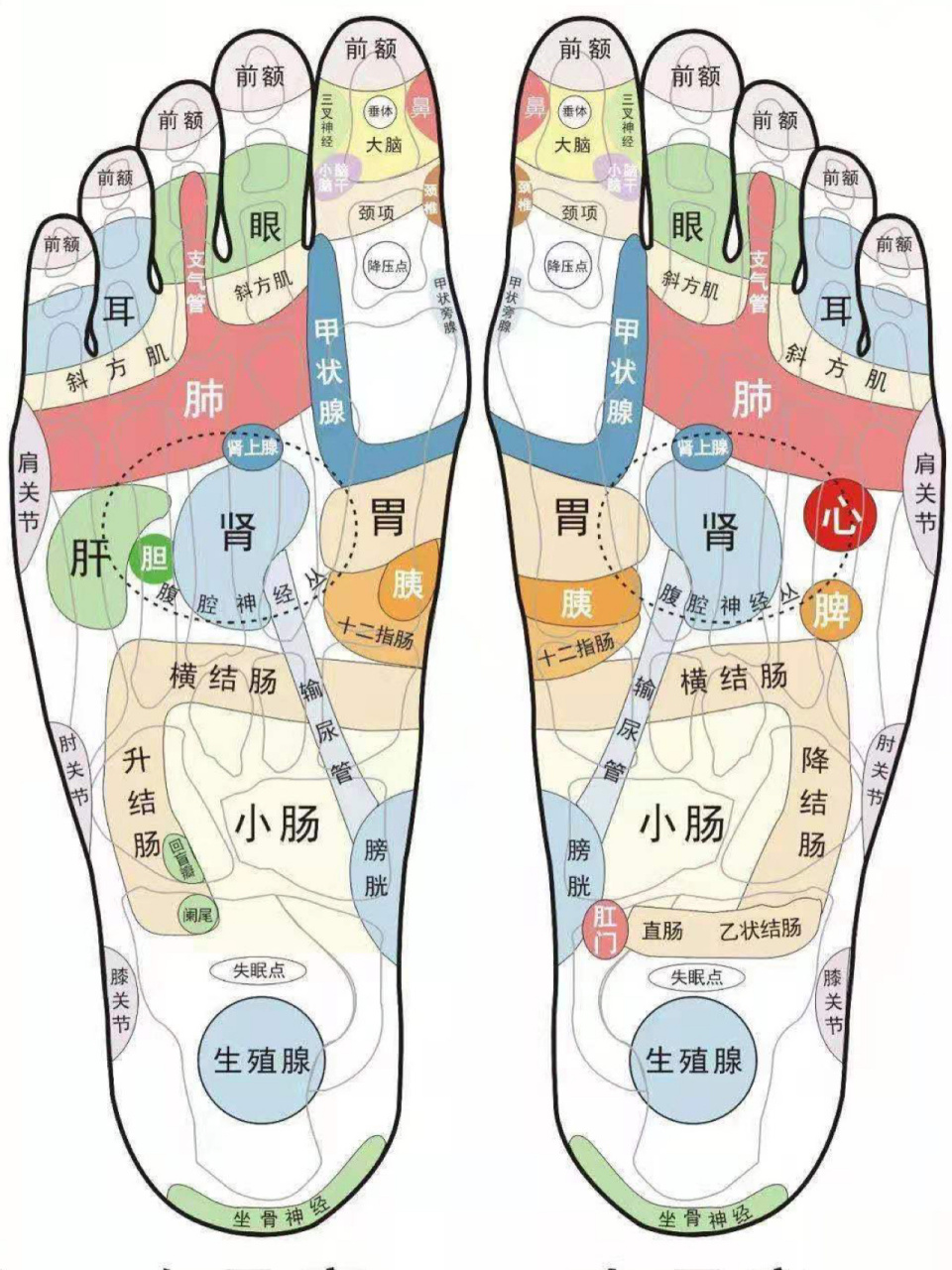 脚是人体的重要部位,适当按摩,缓解胃炎肝火