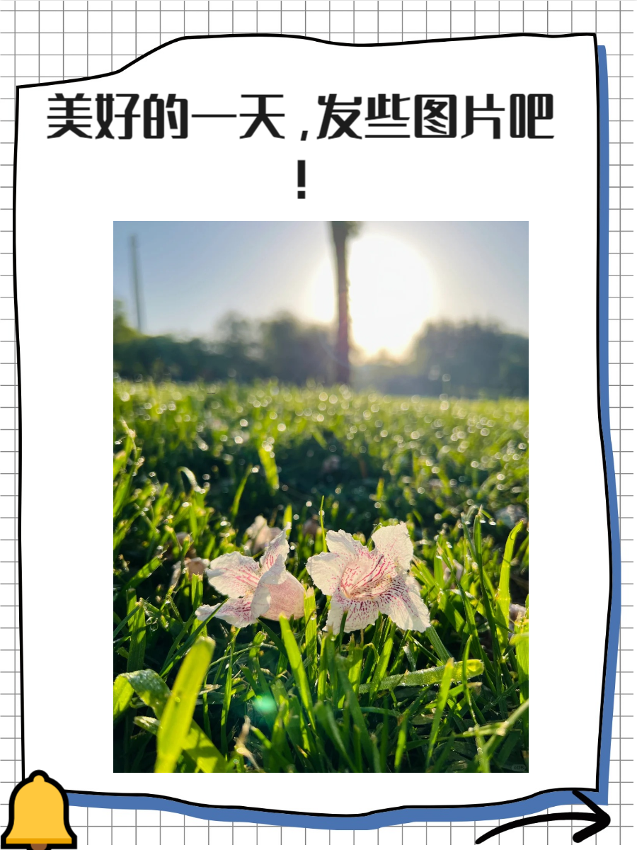 朋友圈配图不仅是心情的表达,也是一种艺术的展示