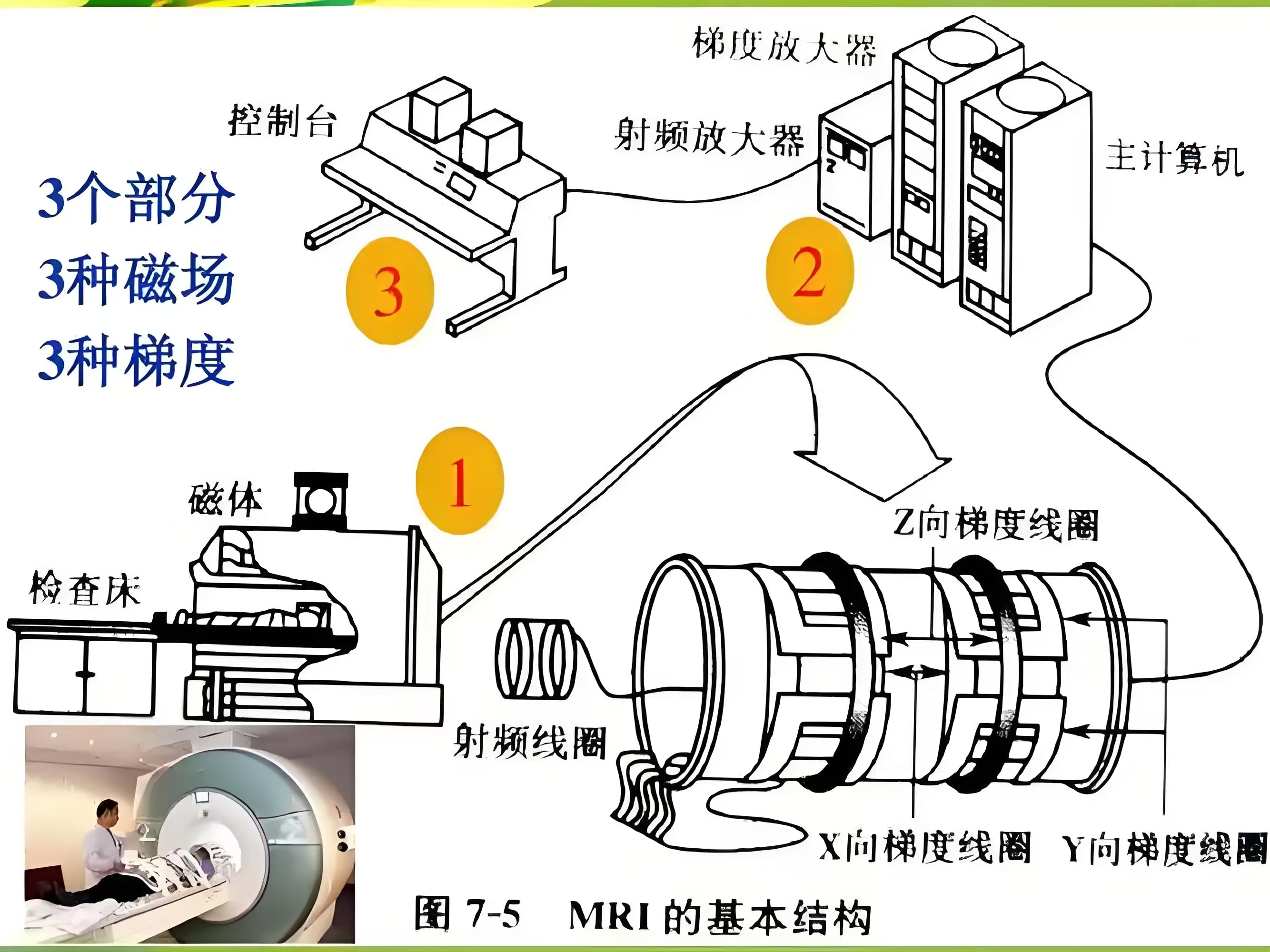 磁力仪的工作原理_磁力仪的工作原理图