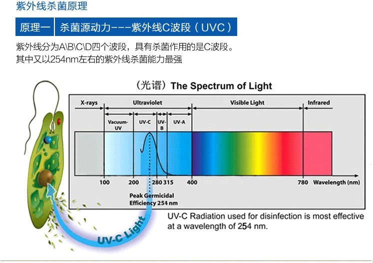 蓝宝石紫外灯荧光反应图片