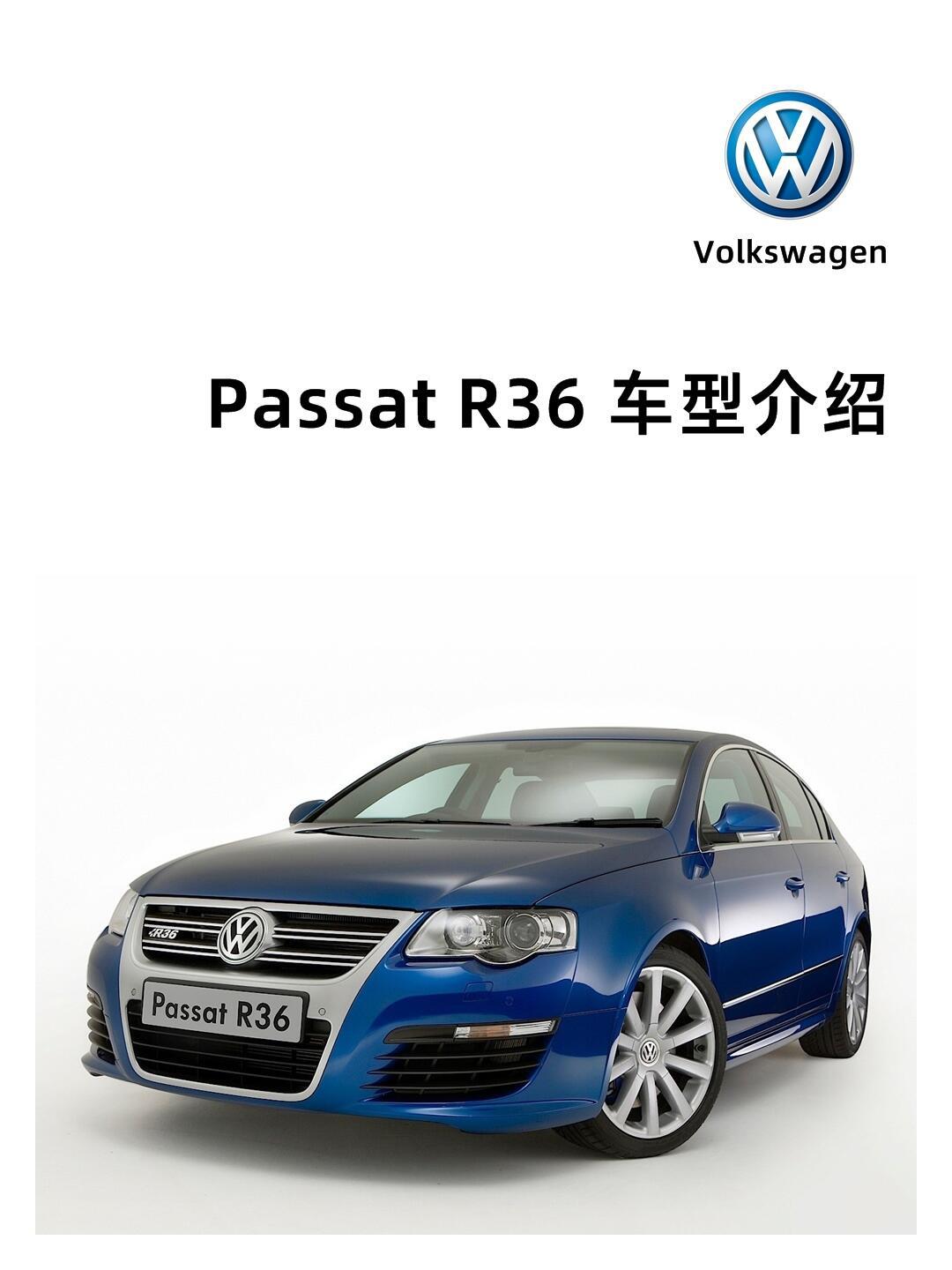 大众带字母是什么车