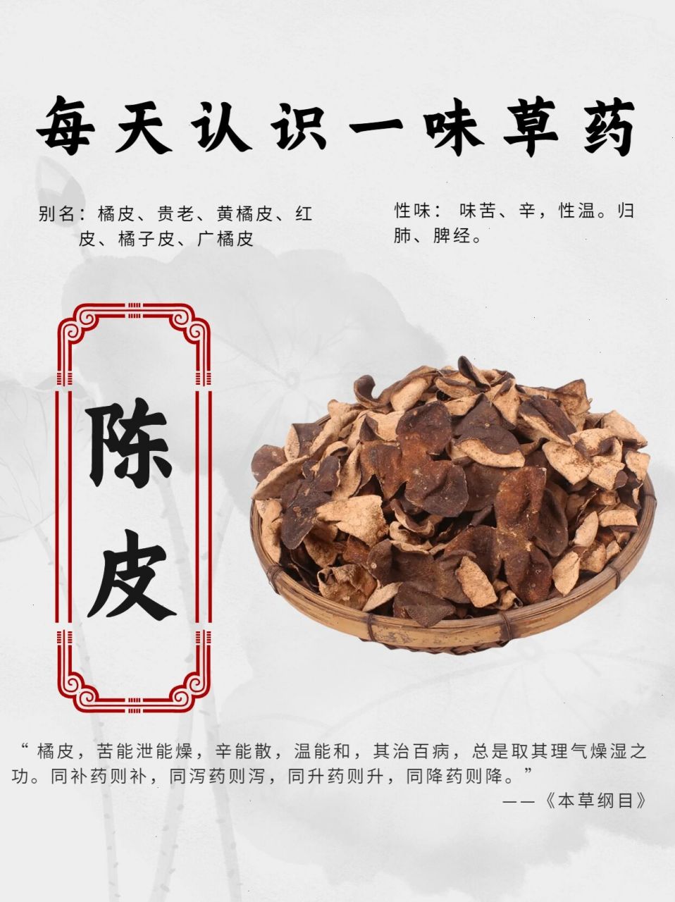 陈皮图片及功效与作用图片