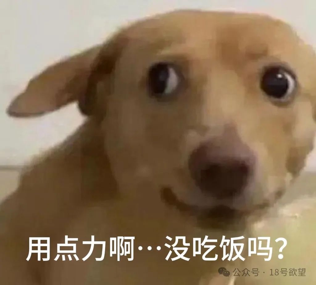 bdsm中独属于brat的作死传说