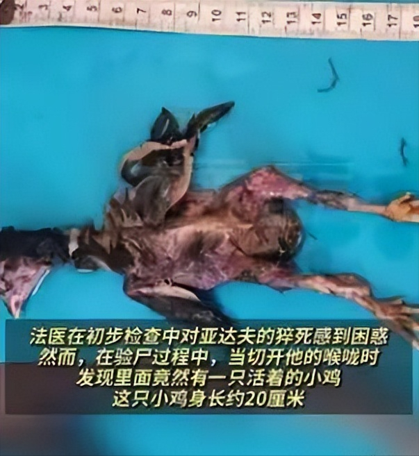 2024年12月,印度男子与妻子结婚5年没有孩子,男子为了传宗接代,听信了