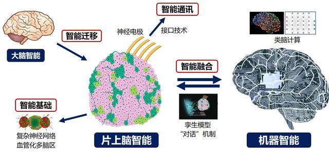 2024年中国脑机接口大事记回顾