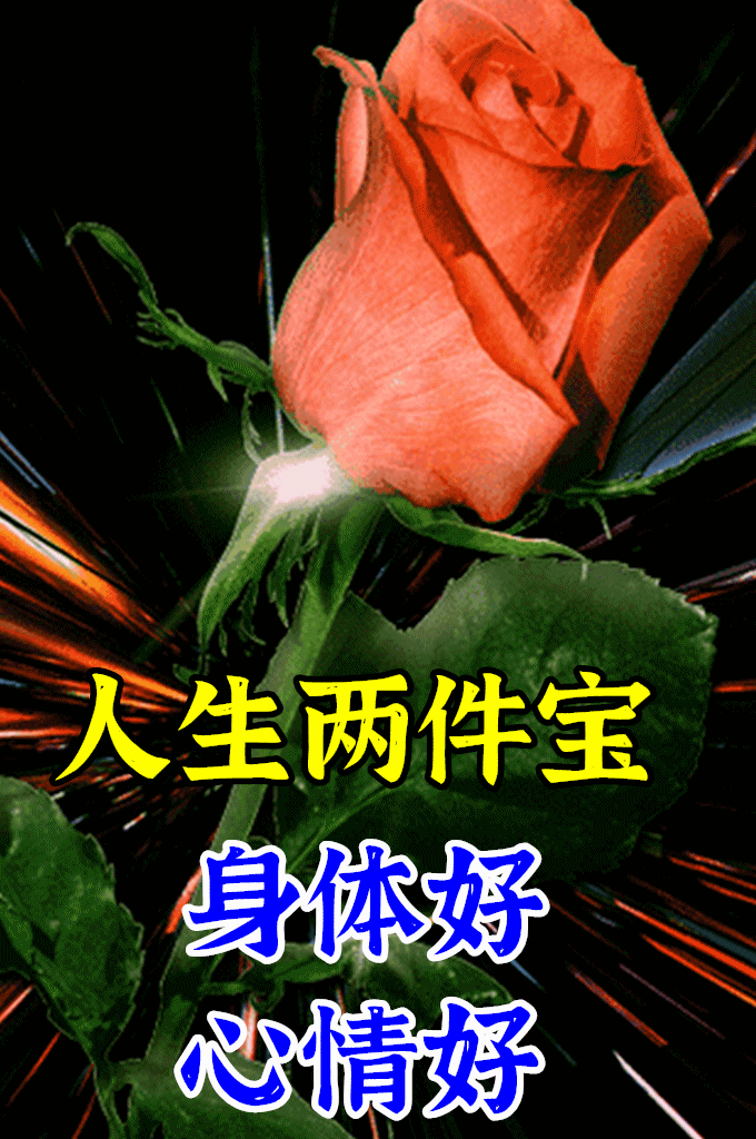 最美最暖心的早安祝福语大全,非常创意好看的早上好问候图片