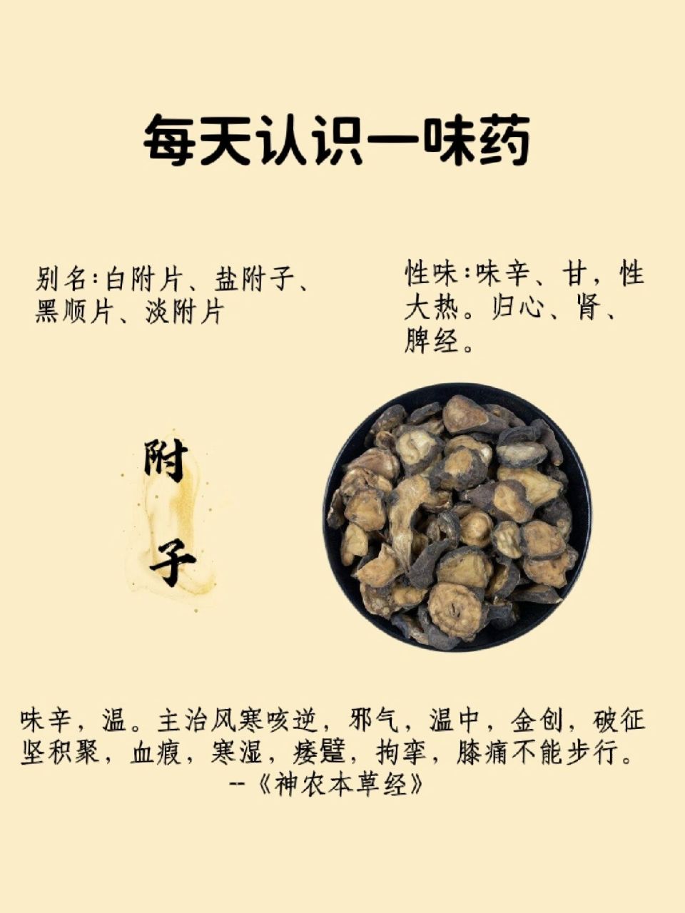 生附子,炮附子,制附子,白附片有什么区别,功效有哪些不同?