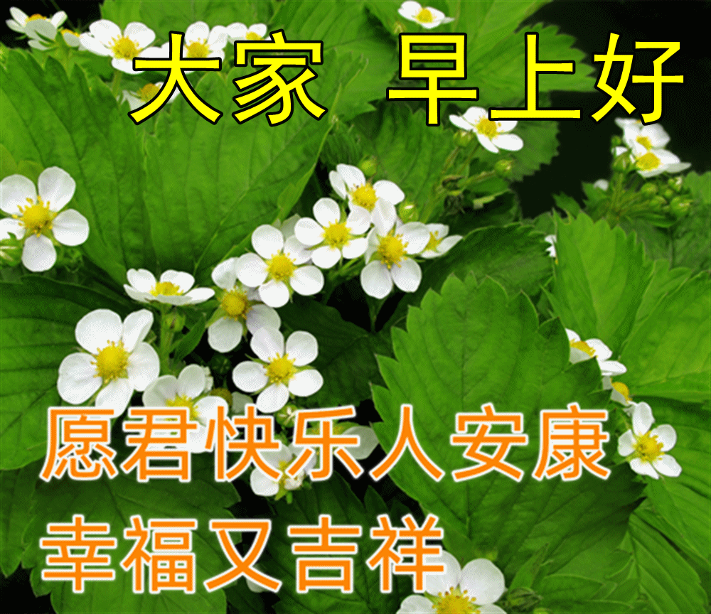 14张最新的动图精选图片大全,早上好图片,赶紧收藏起来