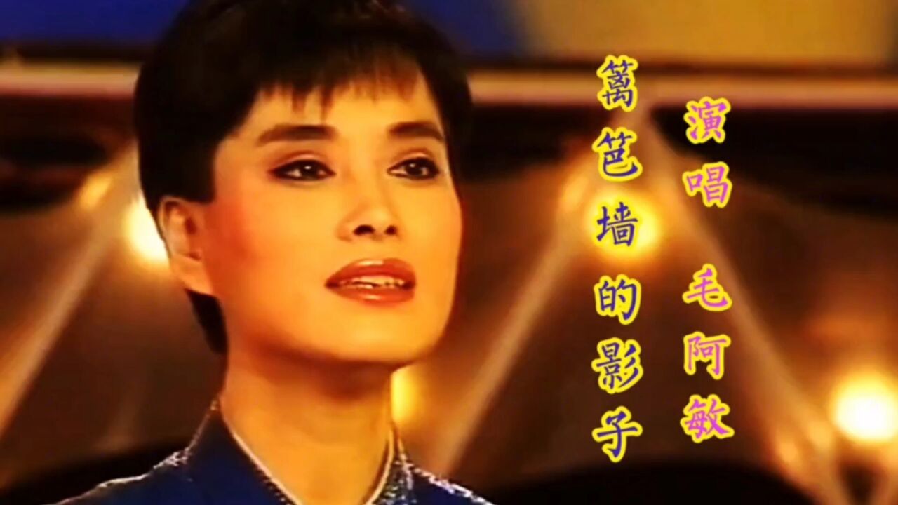 毛阿敏歌曲(毛阿敏歌曲最好听的十首歌)