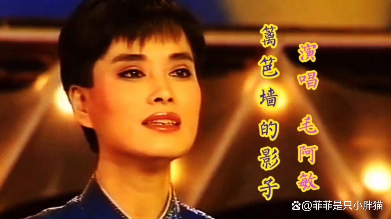 毛阿敏歌曲(毛阿敏歌曲最好听的十首歌) 毛阿敏歌曲(毛阿敏歌曲最好听的十首歌)