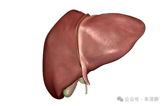 我们经常说肝是哑巴,出了问题不会说话,其实在中医看来,肝脏在出