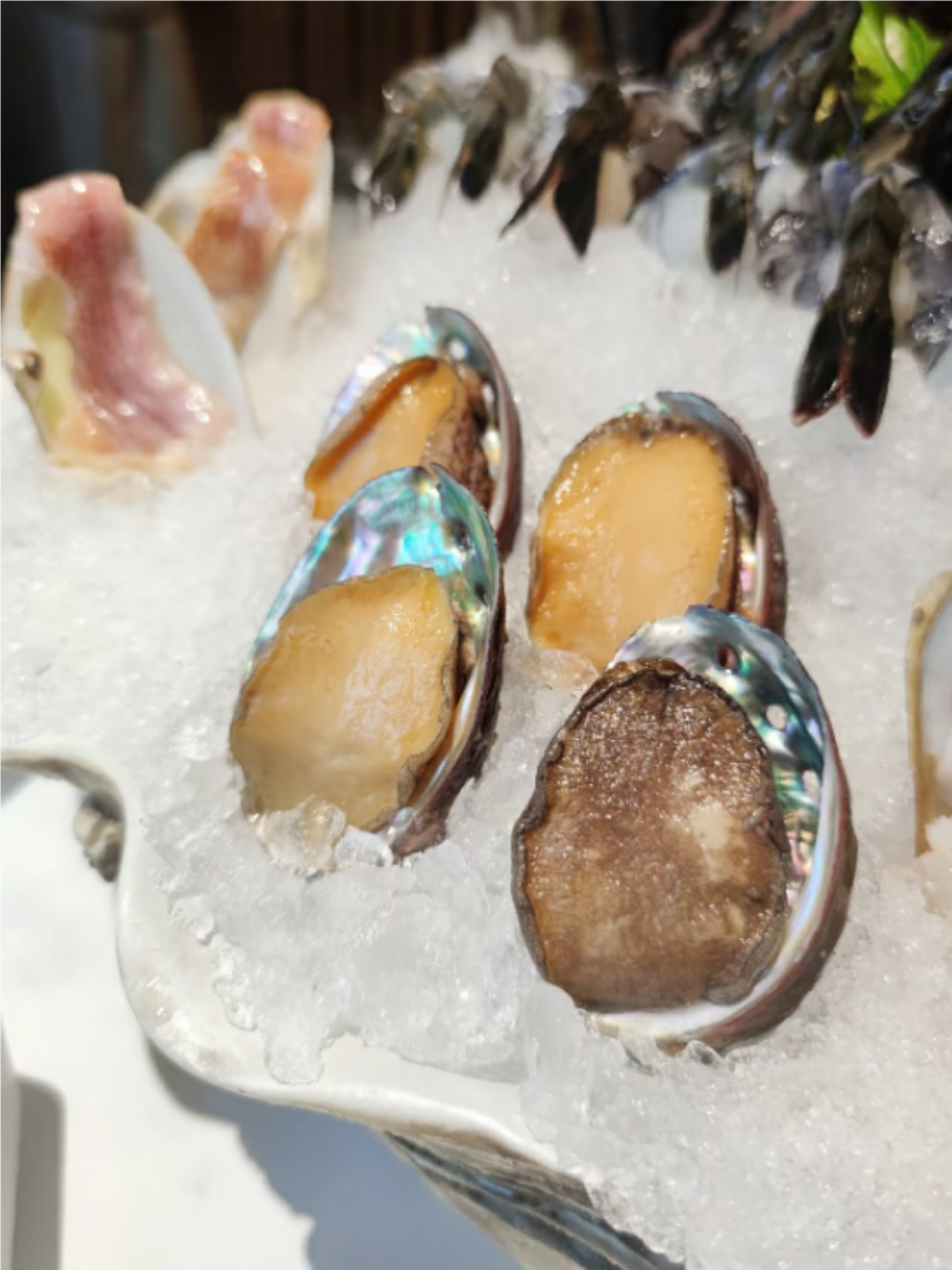 鲍鱼的图片和做法图片