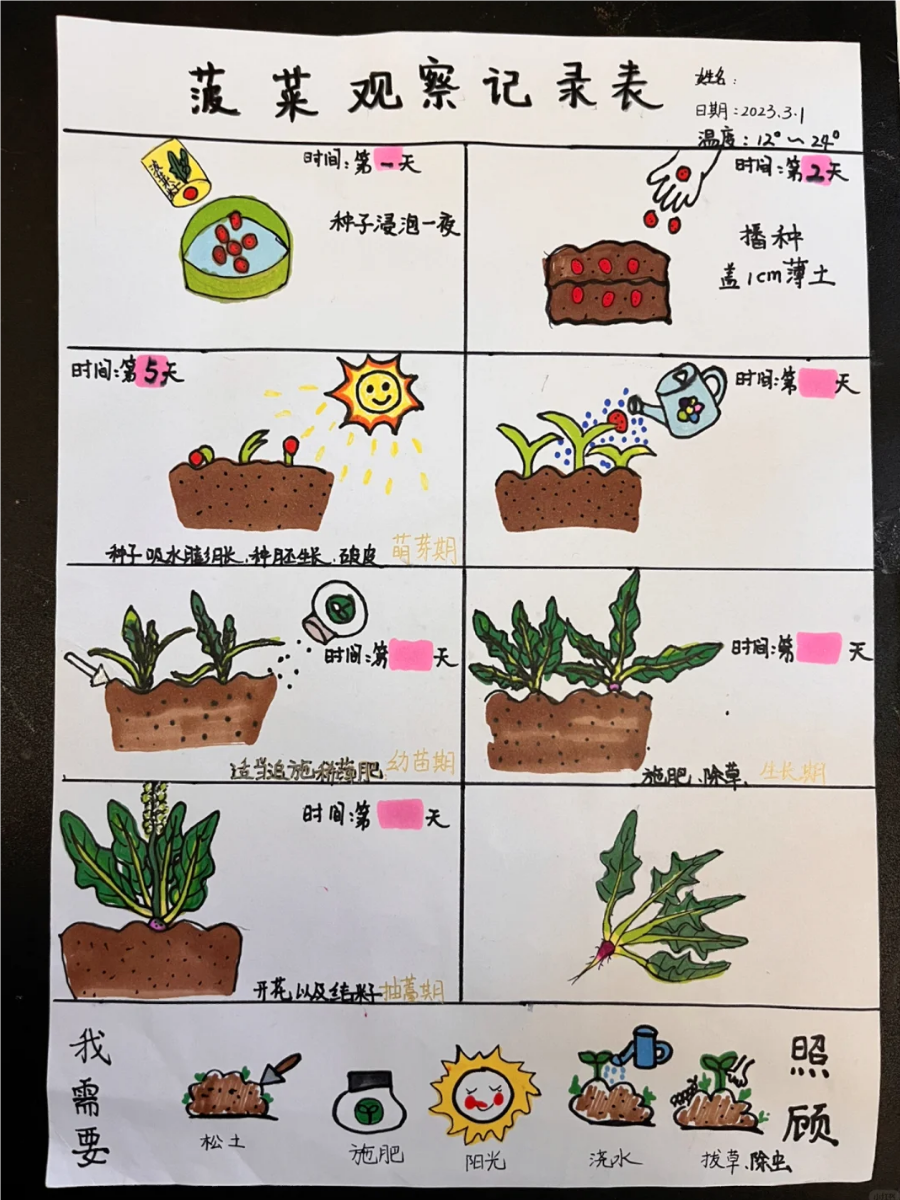 植物观察记录表是用来系统性地记录植物生长过程中的