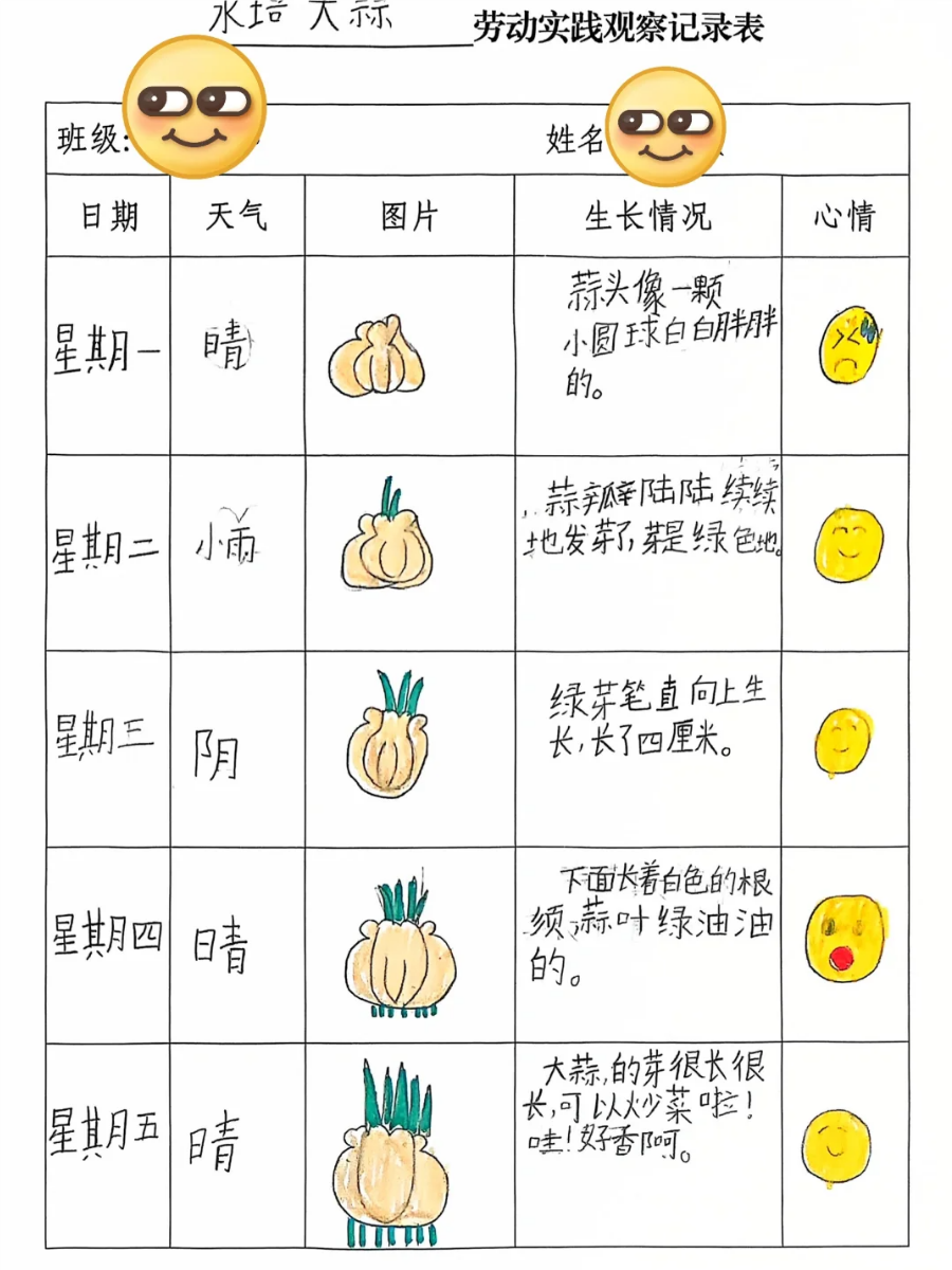 幼儿植物观察记录卡图片(幼儿植物观察记录卡图片模板)