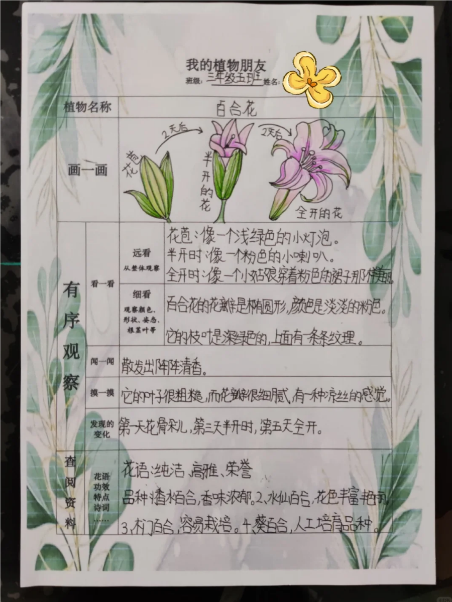 植物观察记录表是用来系统性地记录