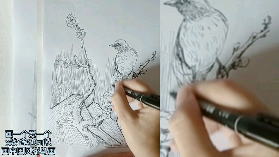 画一个爱一个,记号笔也可以画中国风花鸟画