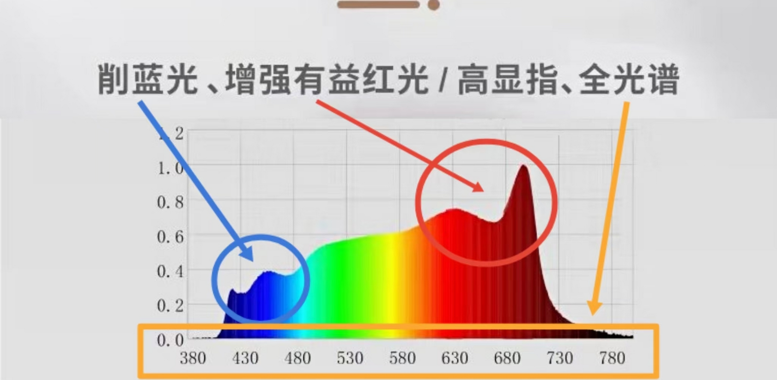 超度时照片光点-能量场很高的图片