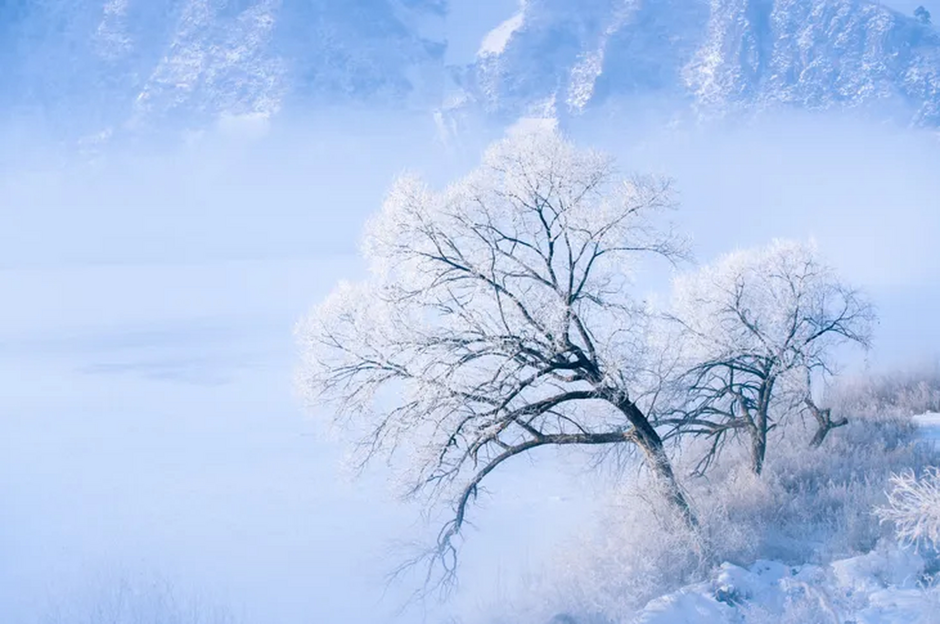 大雪万物冬藏#   七律·大雪 李文耀/黑龙江  愈寒月夜壑泉泠,雪霁