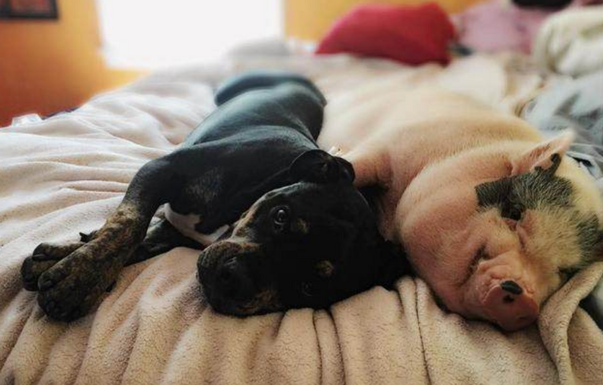 我们并不是大家想象中的猪朋狗友,而是患难与共,互相帮助,积极向上的