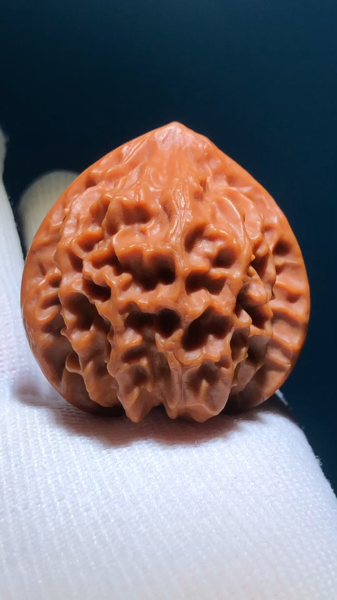 极品龙鳞好核桃自己会说话