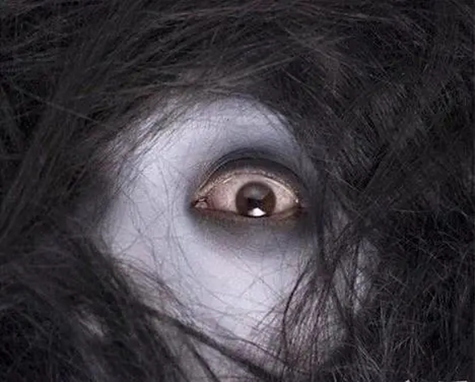 不知是谁放出的风声  t 潜入了小镇