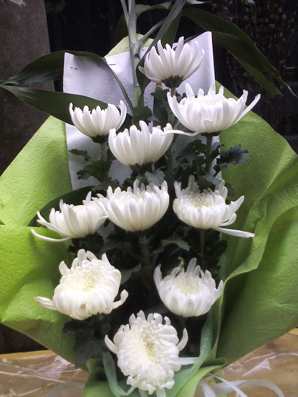 您的爱如山巍 挡风遮雨只放晴 靠岸之路还走远 为