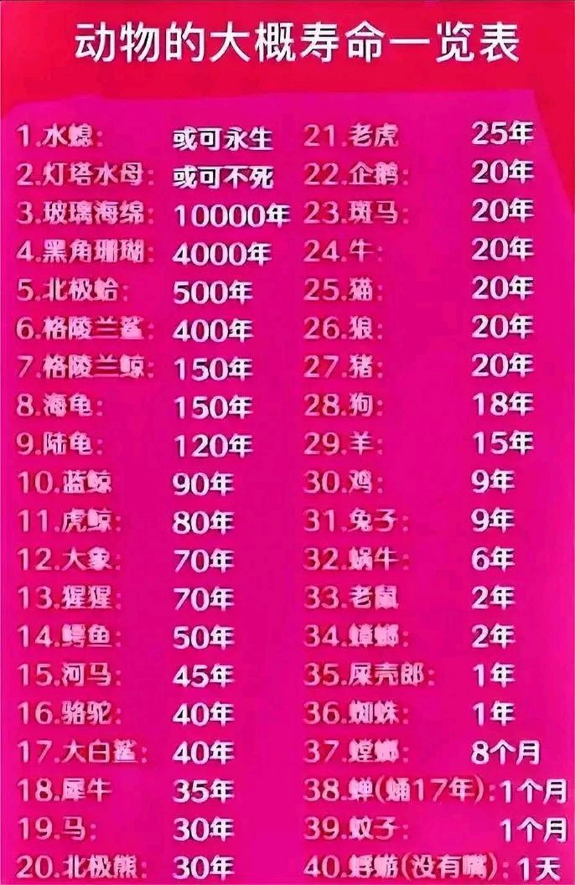 动物大致寿命一览表 有的或可永生不死,羡慕吗  #百度仲夏打卡挑战赛