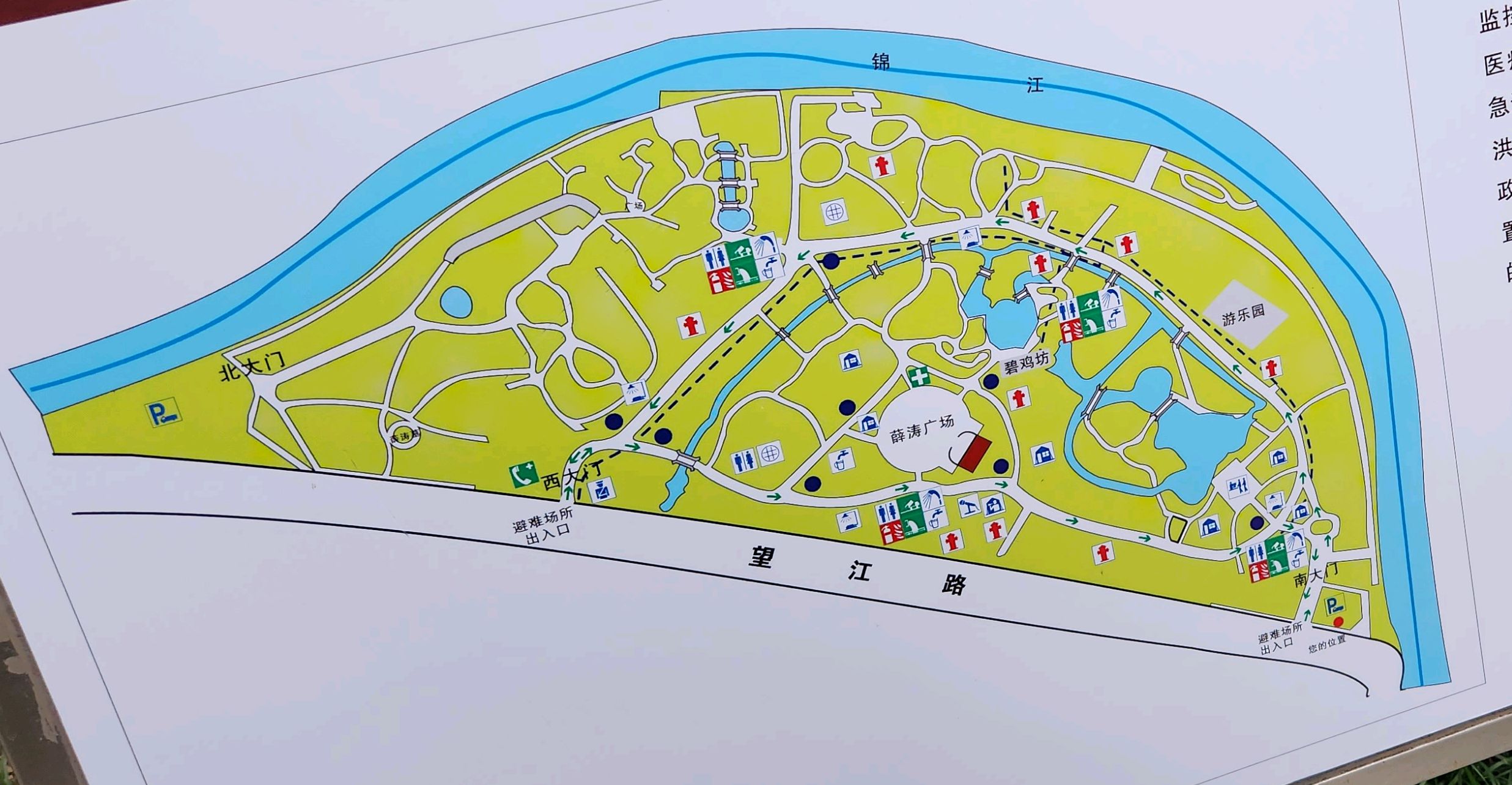 望江公园外的科普园,让你赏不一样竹,涨不一样的知识