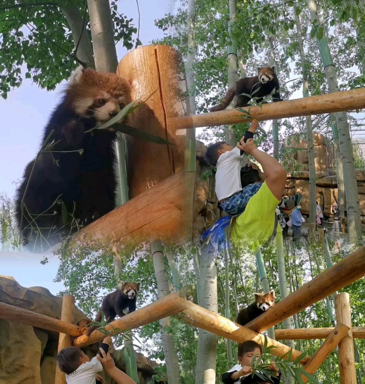 北京大兴野生动物园