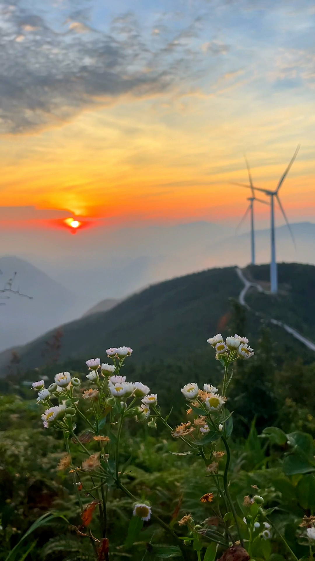 山顶的风景总是值得,浙江磐安廿四尖