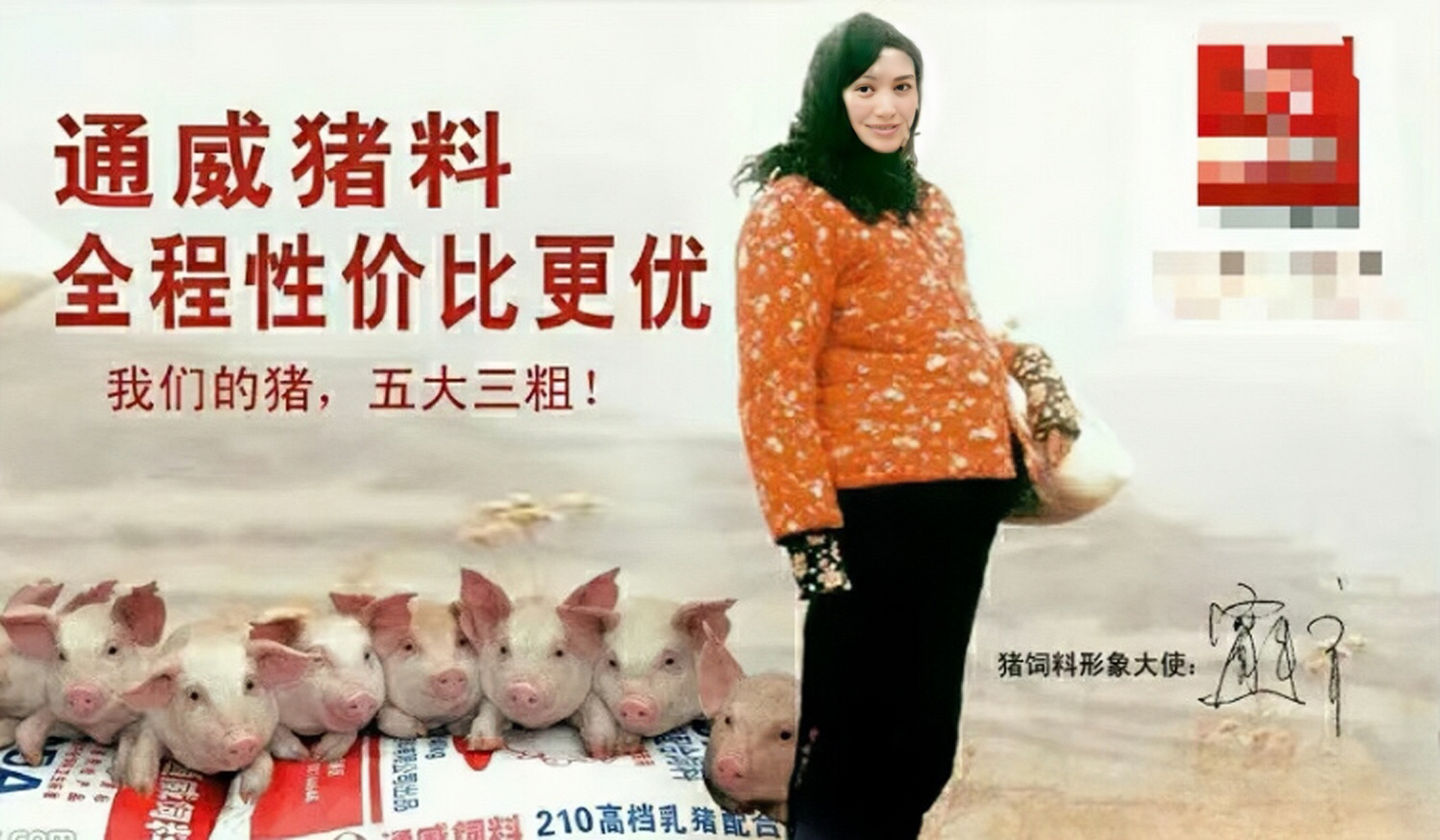 宁静拍的猪饲料广告,广告词:我们的猪五大三粗,这种广告还真的是没有