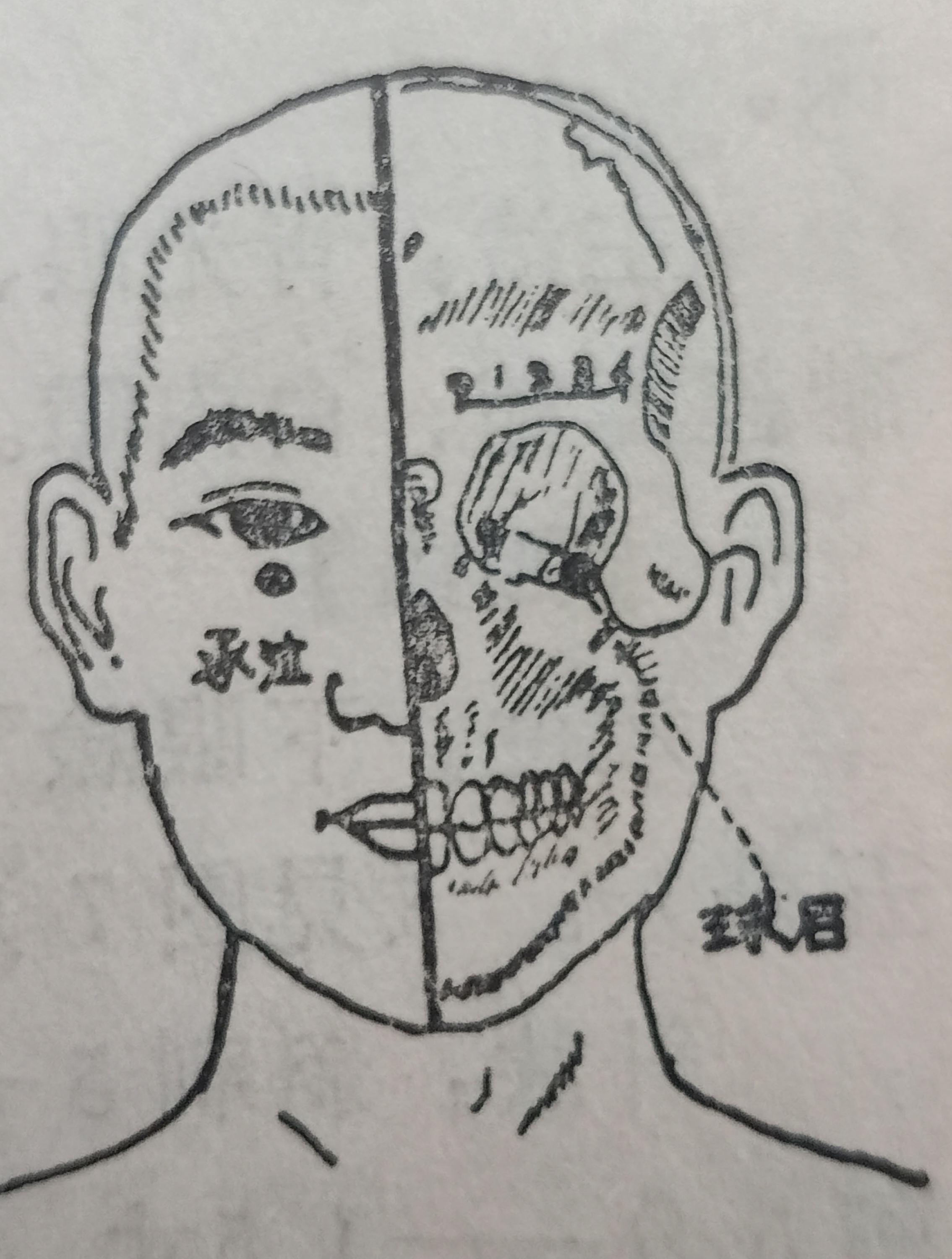 承浆的准确位置图 baijiahao.baidu.com