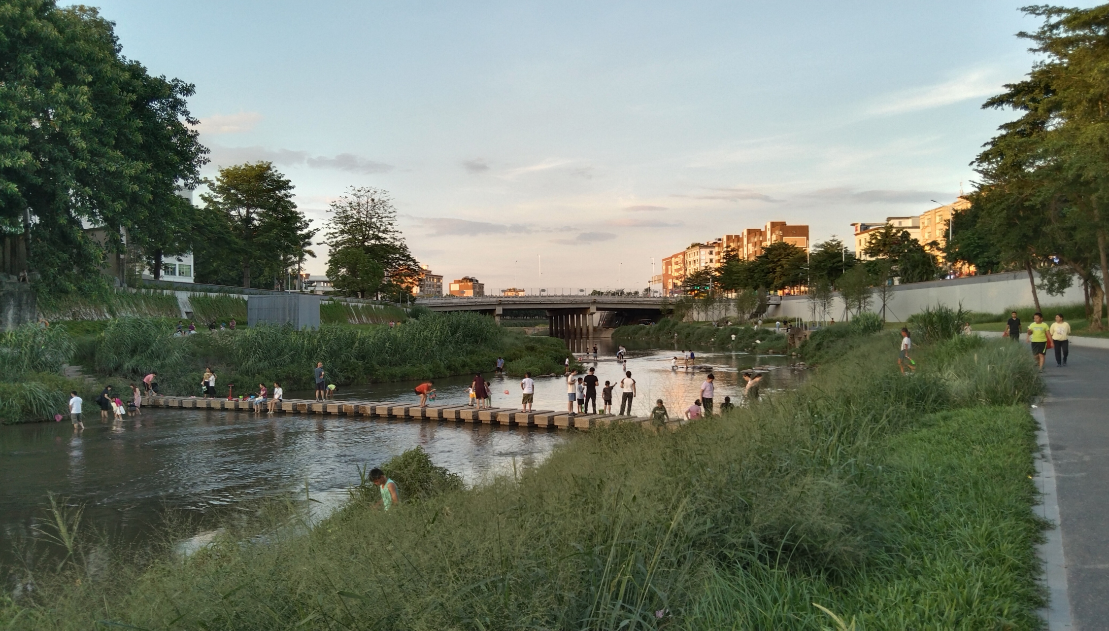 深圳龙岗,因为不近海,不靠湖(清林径水库较偏),所以一条不宽的龙岗河