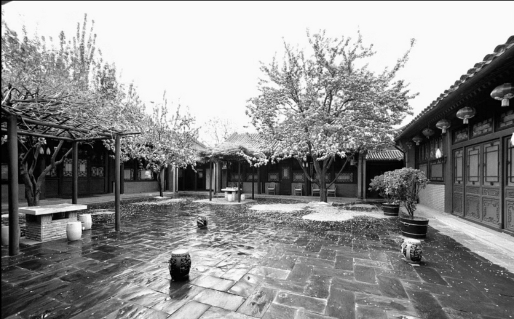 八十年代,北京四合院老照片,刚刚下雪后,地面有结冰,很湿滑,树上也挂