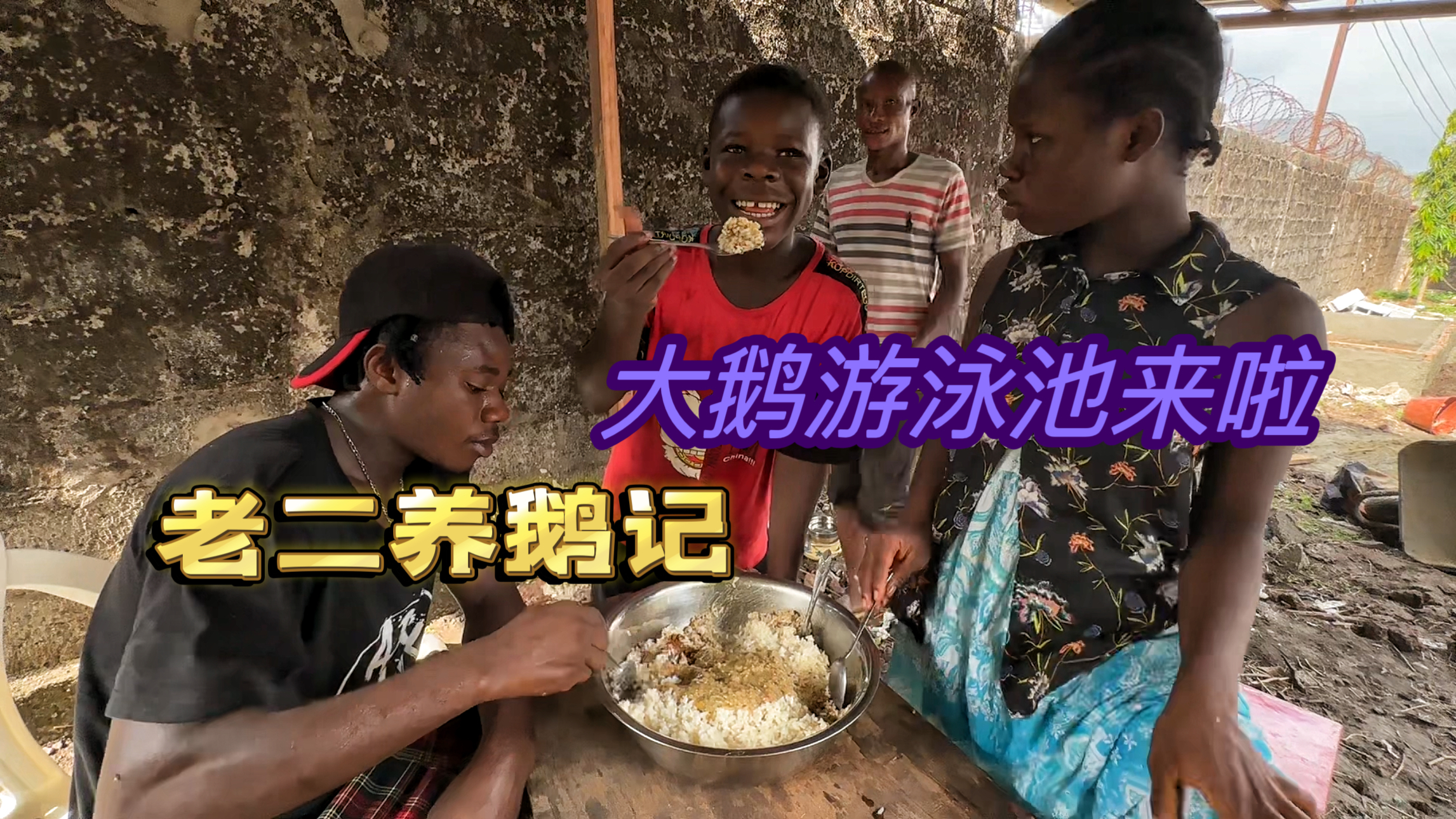 老二养鹅记，大鹅泳池开始建设，还有大胃做的特色工地餐