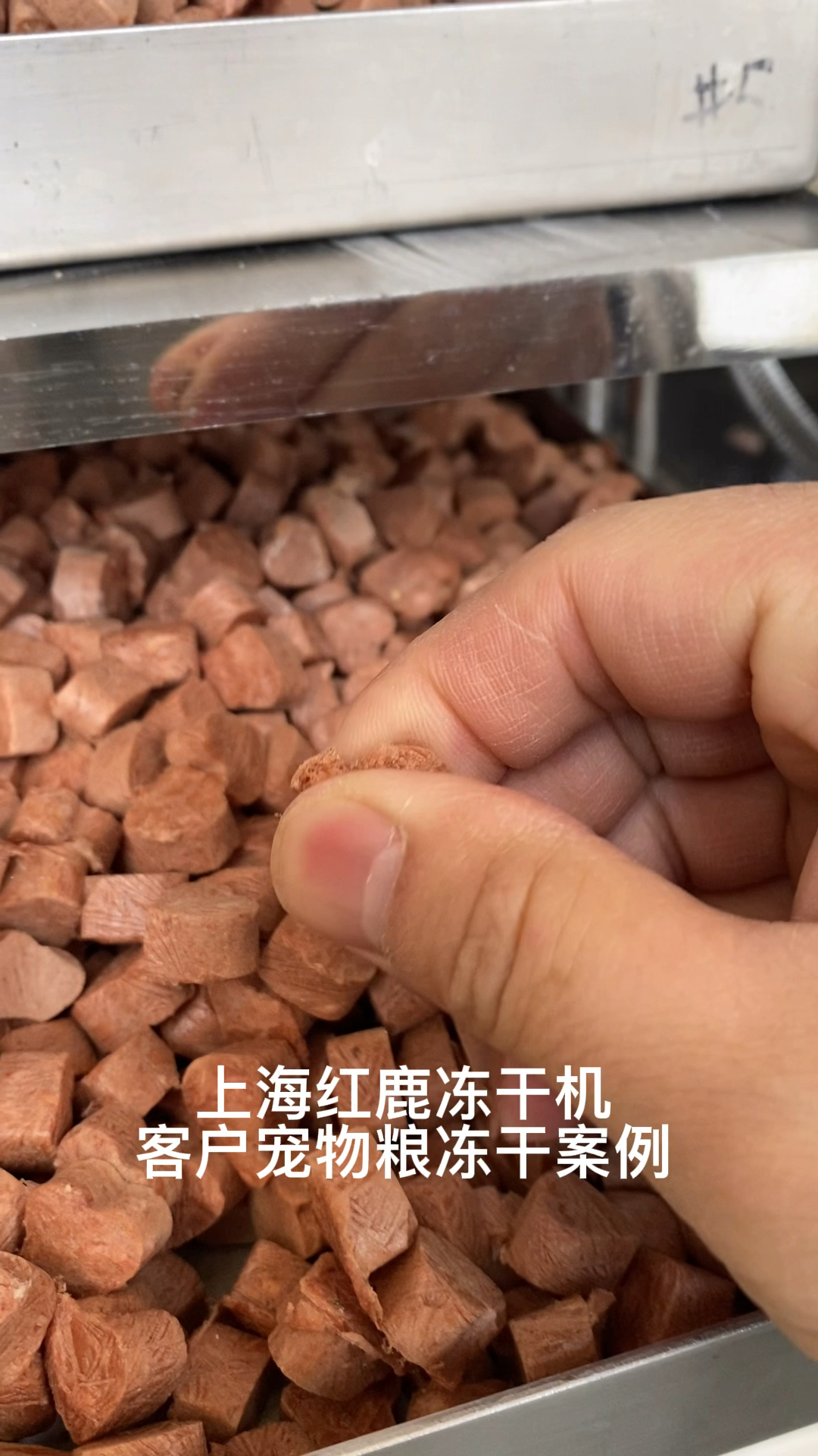 宠物粮冻干设备宠物食品冻干机器上海红鹿冻干机厂家