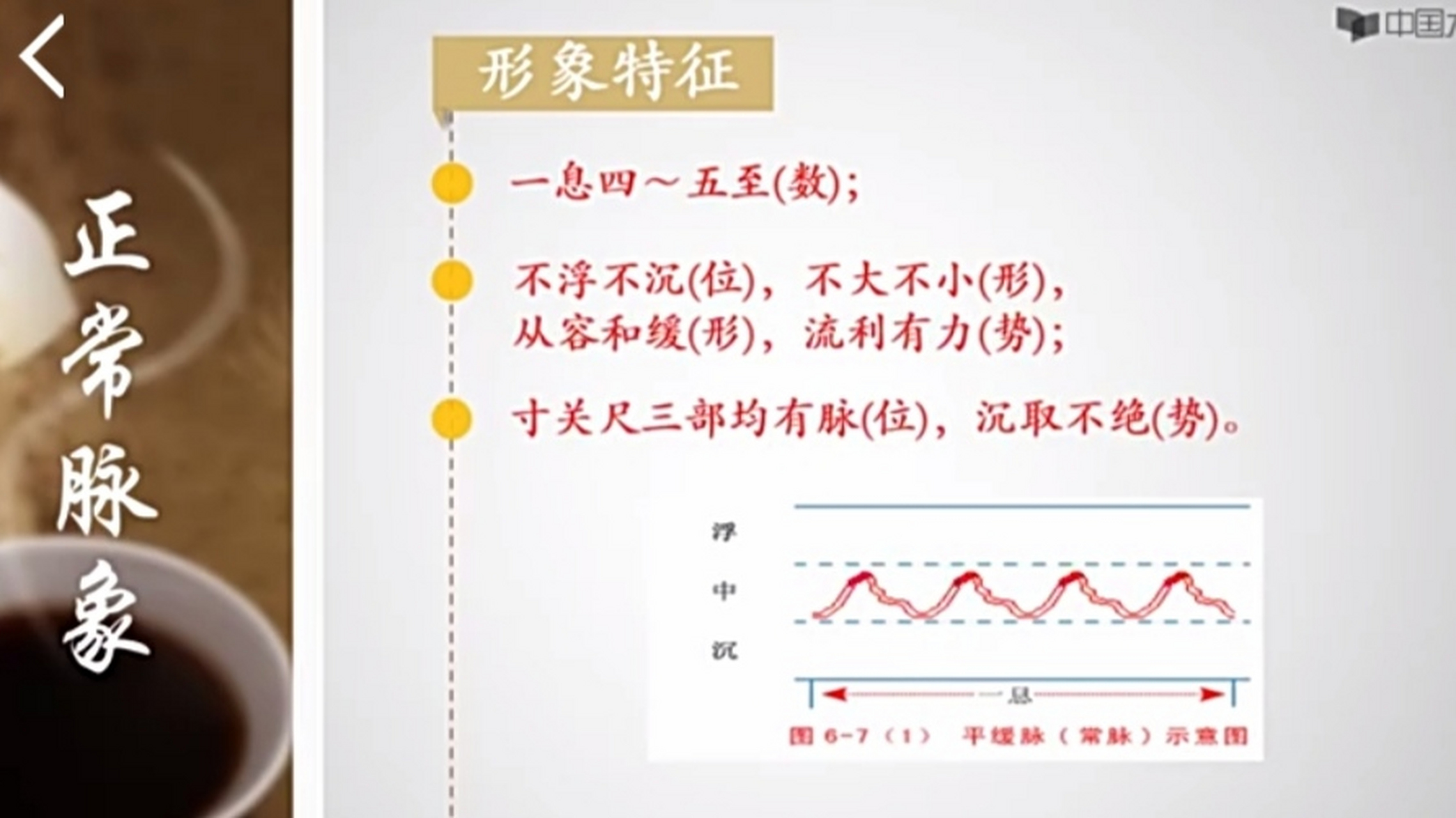 中医"诊脉"一一正常脉象的特征(有胃,有神,有根),脉象的生理变异