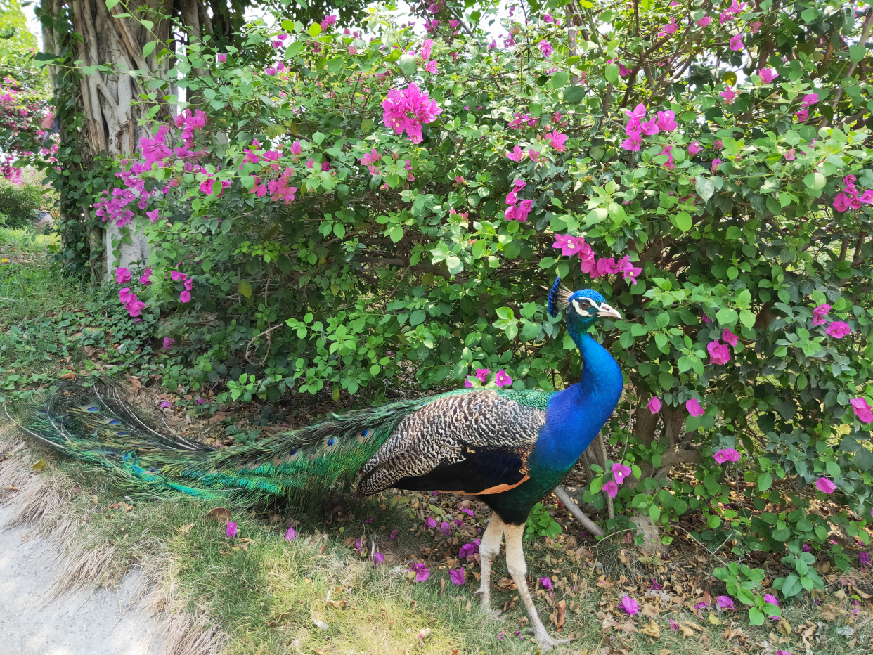 厦门野生动物园