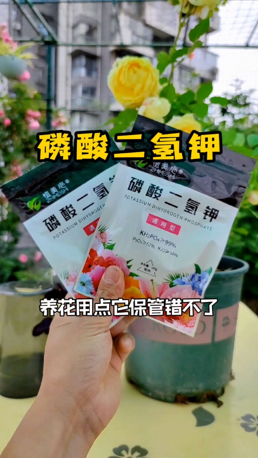 磷酸二氢钾促花开花肥家庭养花肥料