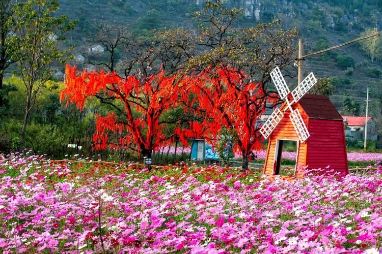 葫芦套风景区电话图片