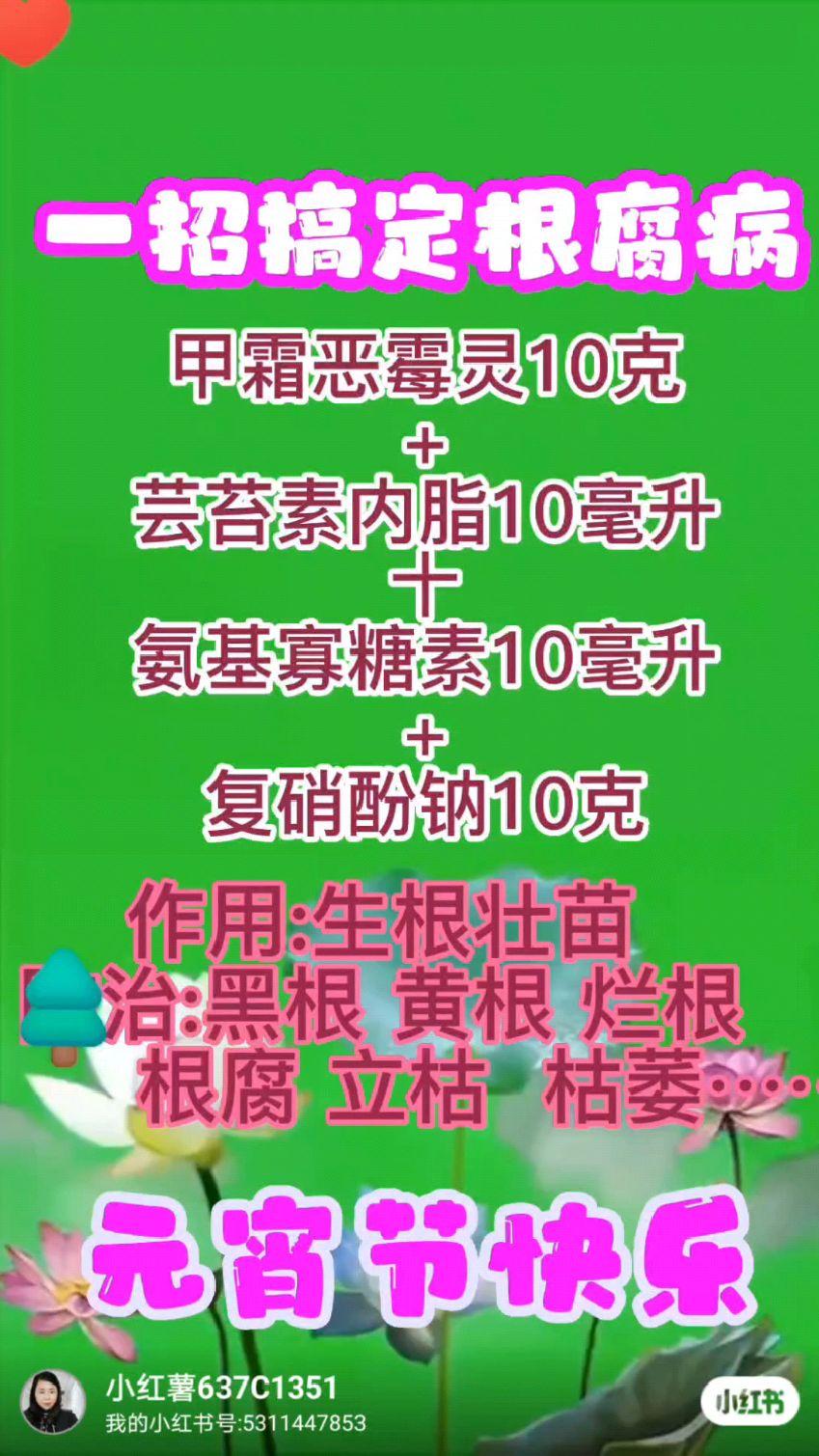 根腐病特效配方 #增产增收才是硬道理 #心系三农服务三农-度小视