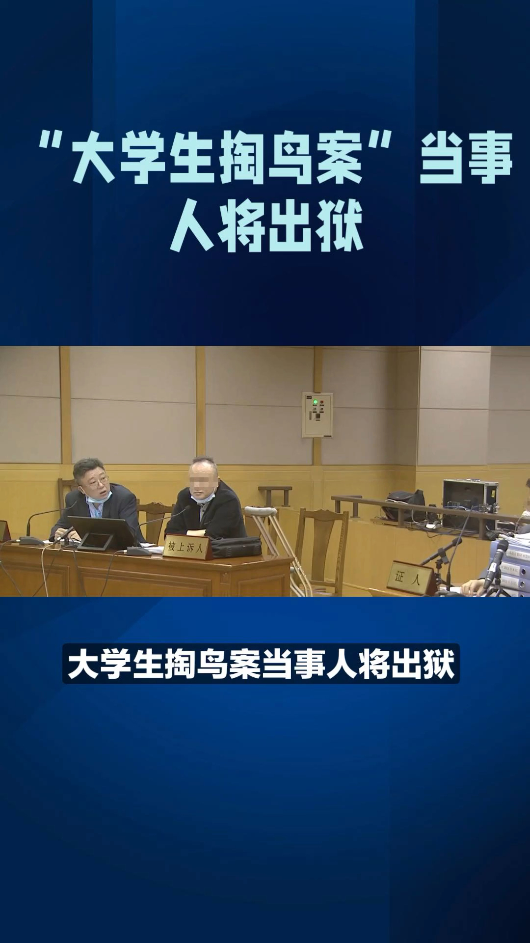 "大学生掏鸟案"当事人将出狱,第一件事想先去祭拜去世的奶奶